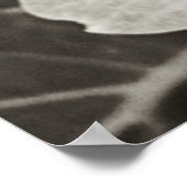 アジサイ・マクロ白黒フォトグラフィー ポスター (角)