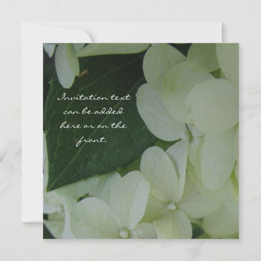 アジサイ・ラブ 招待状 (裏面)