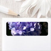 アジサイ ラベル (インサイチュ)