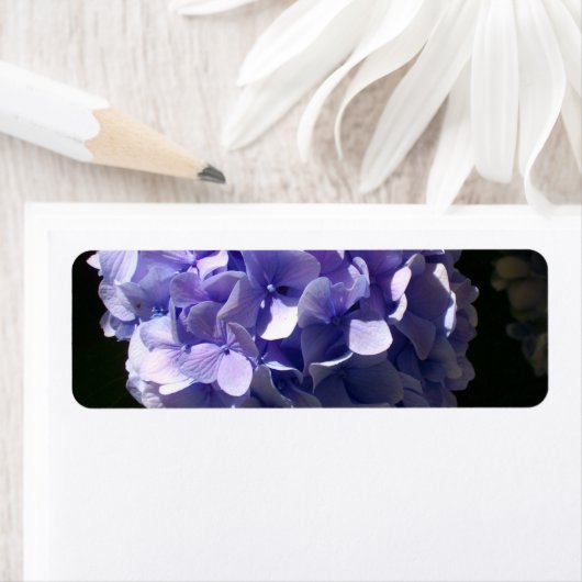 アジサイ ラベル (インサイチュ)