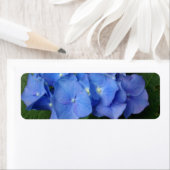 アジサイ ラベル (インサイチュ)