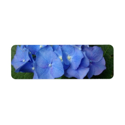 アジサイ ラベル (正面)