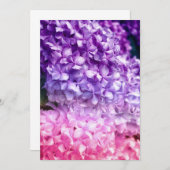 アジサイ・レインボー (正面/裏面)