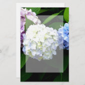 アジサイ 便箋 (正面/裏面)