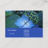 アジサイ 名刺 (裏面)