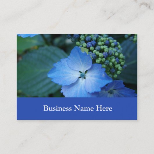 アジサイ 名刺 (正面)