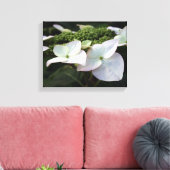 アジサイ – 花の写真 – キャンバス (インサイチュ (リビング))