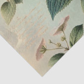 アジサイ 薄葉紙 (詳細)