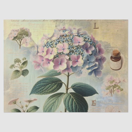 アジサイ 薄葉紙 (正面)