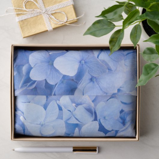 アジサイ 薄葉紙 (ギフト)