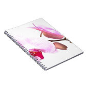 アジザオーキッドフラムス ノートブック (右側)