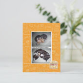 アジズ・ハズ・ミスター・スナギス・フォレバ ポストカード (スタンド正面)