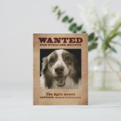 アジャイルオーストラリア ポストカード (スタンド正面)