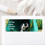 アジリティボストンテリア住所 シール (インサイチュ)