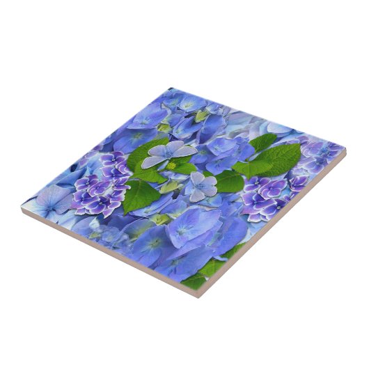 アジロとチョウ タイル (側面)