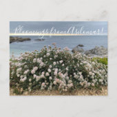 アジロマールの血：シークリフソバ ポストカード (正面)