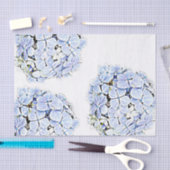 アジロ属 薄葉紙 (クラフト)