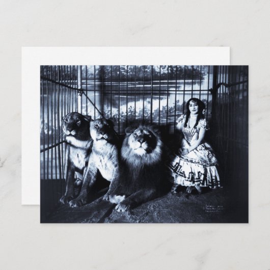 アジーとライオン 1899 ポストカード (正面/裏面)