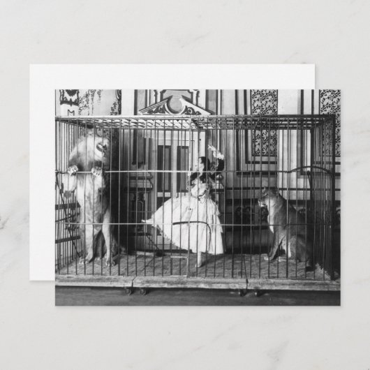 アジーと彼女の訓練されたサーカス・ライオンズ・ヴィンテージ ポストカード (正面/裏面)