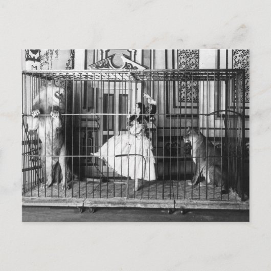 アジーと彼女の訓練されたサーカス・ライオンズ・ヴィンテージ ポストカード (正面)