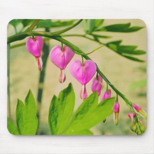 アジ素朴ア出血性ハート マウスパッド (正面)