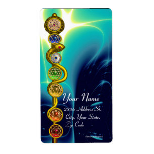 アスクレピウスのロッド7チャクラ，ヨガ，スピリチュアルエネルギー ラベル