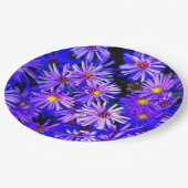 アスターガーデンインフル開花 ペーパープレート (アングル)