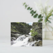 アスタークリークアットグレイシャーナショナルパーク ポストカード (スタンド正面)