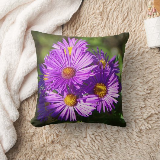 アスター枕 クッション (ブランケット)
