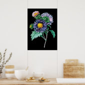 アスター植物黒背景プリント ポスター (キッチン)