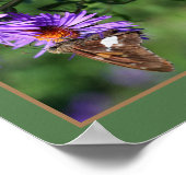 アスター絵を描フラワー抽象芸術上のレディーバタフライ ポスター (角)