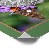 アスター花枠にフォトバタフライを作成する ポスター (角)