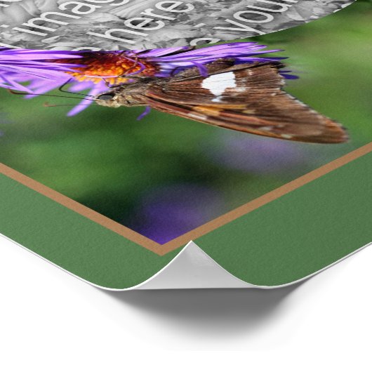 アスター花枠にフォトバタフライを作成する ポスター (角)