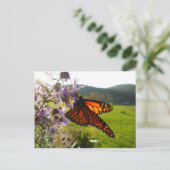 アスター訪問者 ポストカード (スタンド正面)