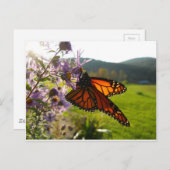 アスター訪問者 ポストカード (正面/裏面)