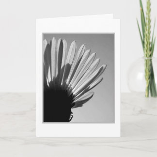 アスター：ダイ滝。...... カード