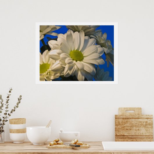 アスター ポスター (キッチン)