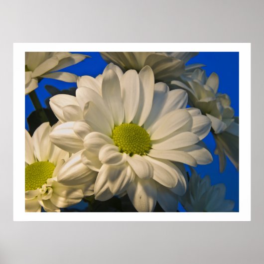 アスター ポスター (正面)