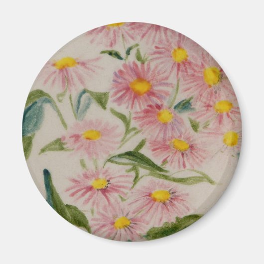 アスター マグネット (正面)