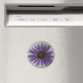 アスター マグネット (インサイチュ (食洗機))