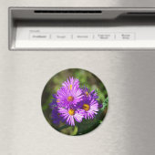 アスター 磁石 (インサイチュ (食洗機))