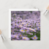 アスター（紫） カード (正面/裏面インサイチュ)