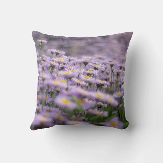 アスター（紫） クッション (裏面)