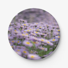 アスター（紫） ペーパープレート