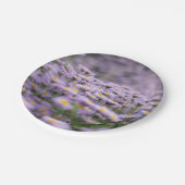 アスター（紫） ペーパープレート (アングル)