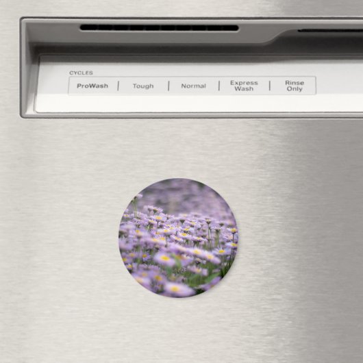 アスター（紫） マグネット (インサイチュ (食洗機))