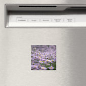 アスター（紫） マグネット (インサイチュ (食洗機))