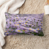 アスター（紫） ランバークッション (ブランケット)