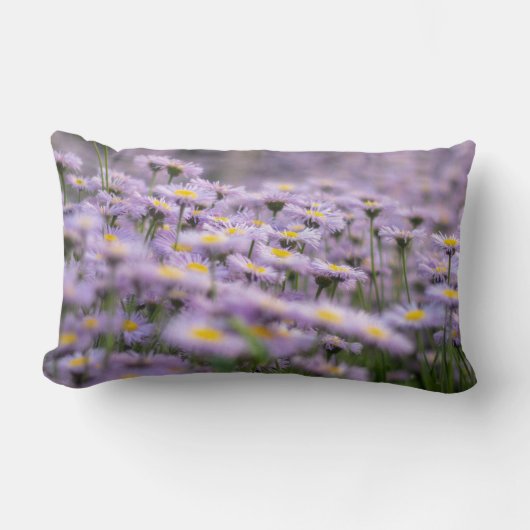 アスター（紫） ランバークッション (正面)
