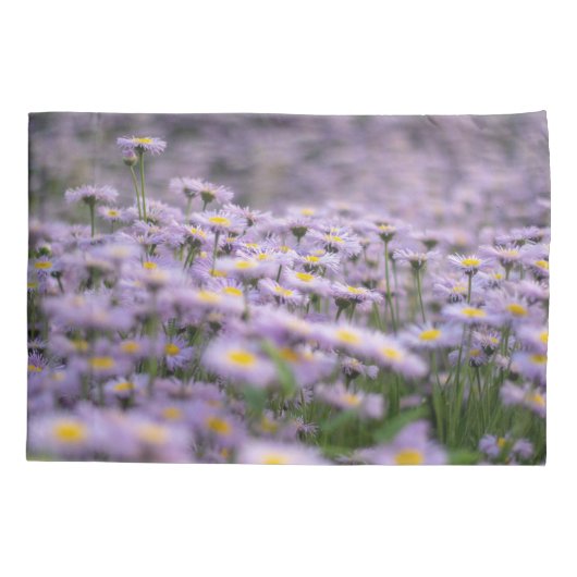 アスター(紫) 枕カバー (裏面)